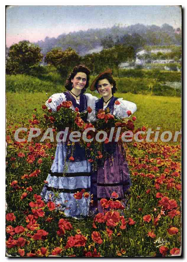 CPSM La Cote d'Azur Nicoises dans un champ de Coquelicots