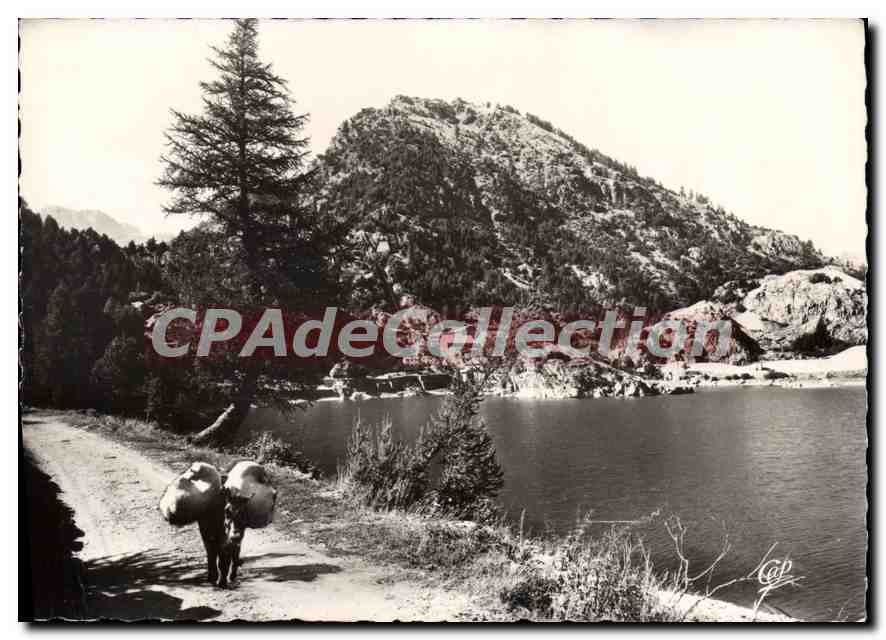 CPSM St Dalmas de Tende (Alpes Maritimes) Le Lac des Mesce (1390 m)
