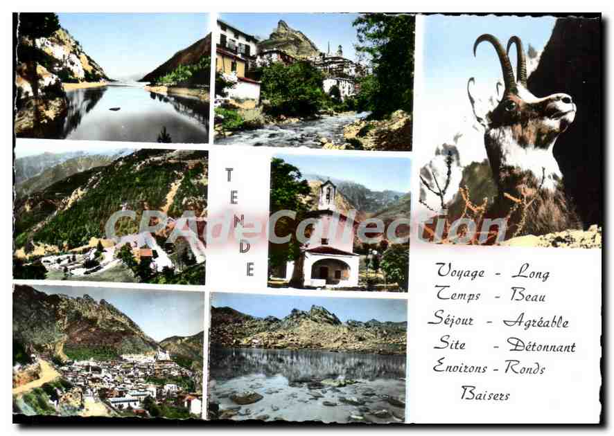 CPSM Tende (A M) Alt 816 m
