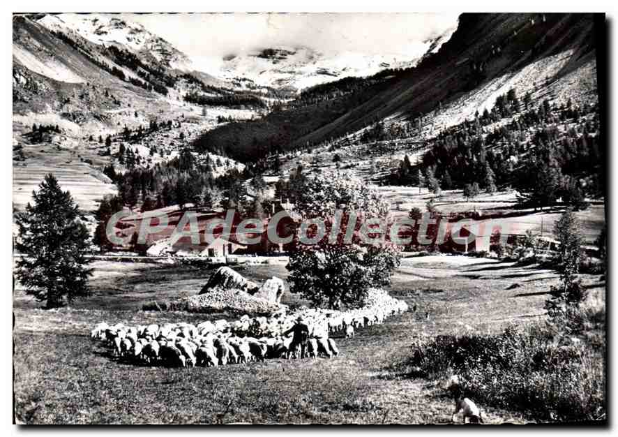 CPSM Relais de la Cayolle Transhumance Relais de la Cayolle (Alt 1800 m)