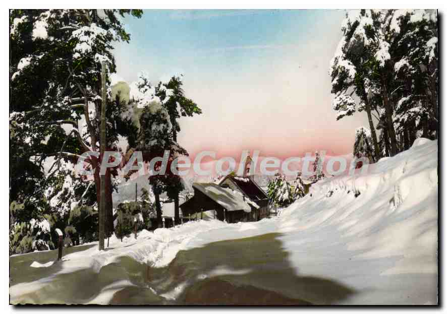 CPSM Peira Cava (A Malt 1500 m) Station d'Ete ideale et Sports d'Hiver La Chapelle et a Chaine des A
