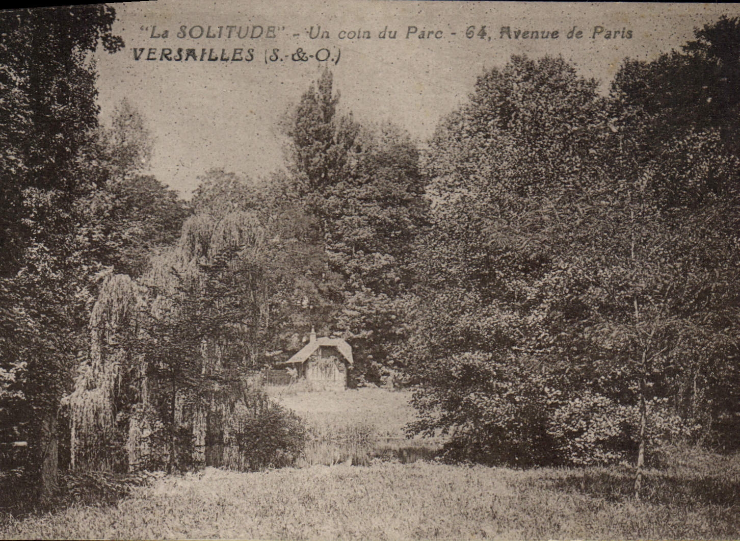 La Solitude — Un coin du Parc — 64, Avenue de Paris — Versailles (S. & O.)