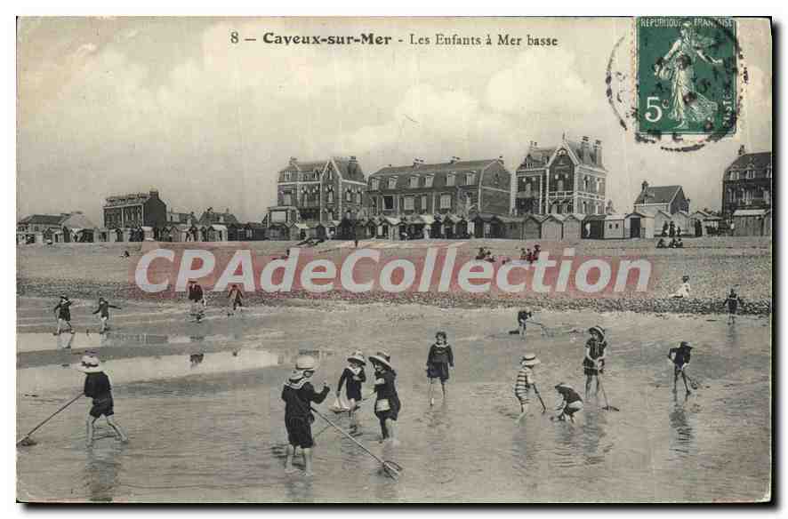 Cayeux-sur-Mer — Les Enfants à Mer basse — CPA n°8
