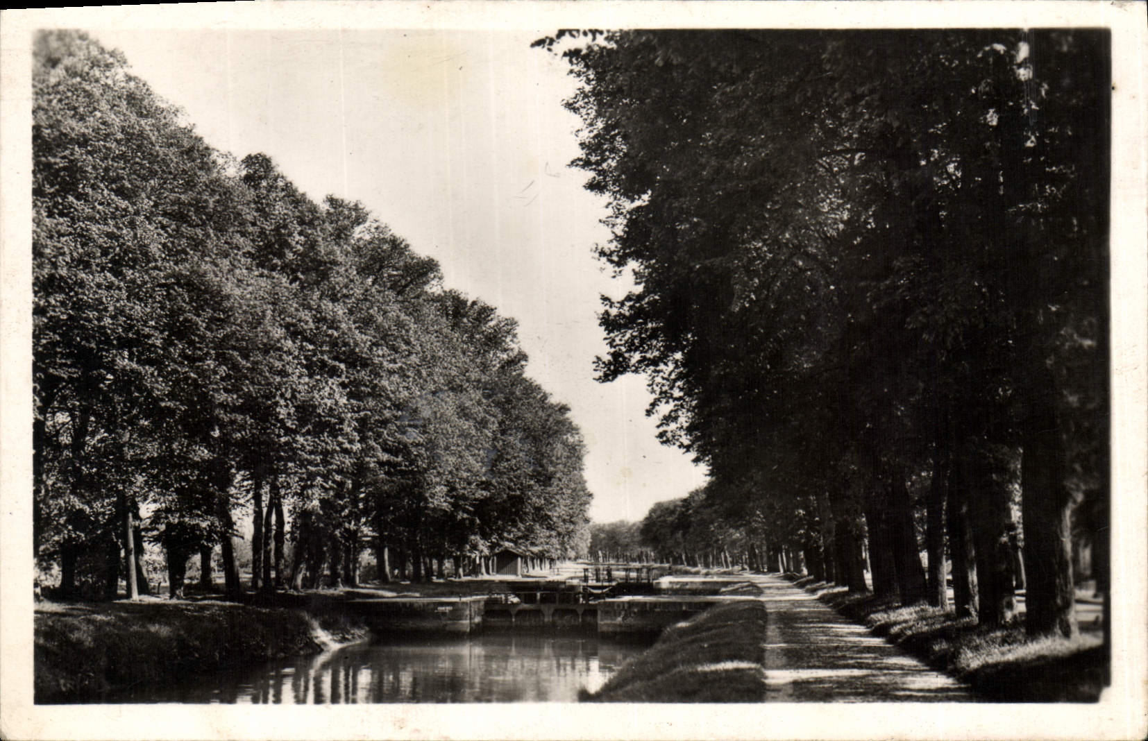 Abbeville — Promenades des Boulevards — éditeur J. Léand, n°14