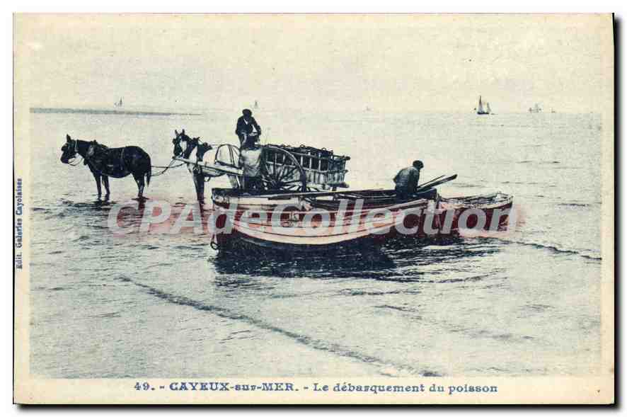 CAYEUX-sur-MER — Le débarquement du poisson — Édit. Galeries Cayolasses n°49