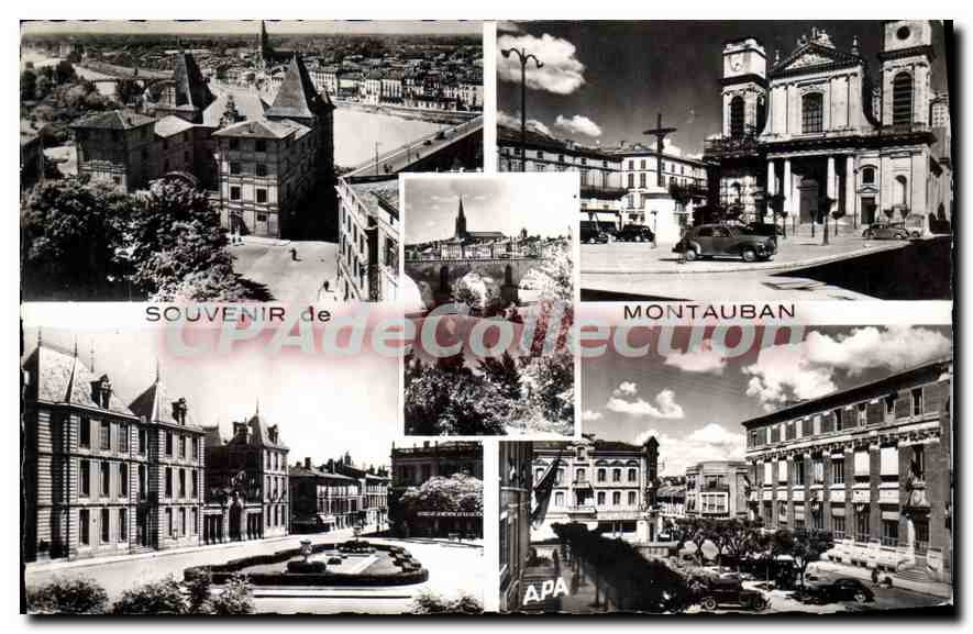 Montauban — Souvenir de Montauban — Société des Cartes Postales APA-POUX