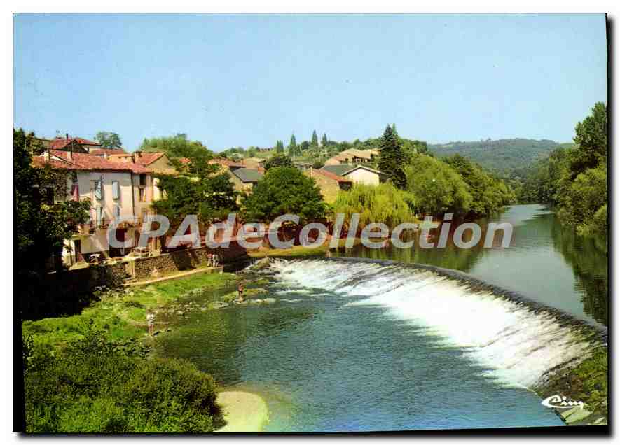 CPSM Tarn et Garonne Laguepie (Tarn et Garonne) Peche baignade et canotage sur le Viaur