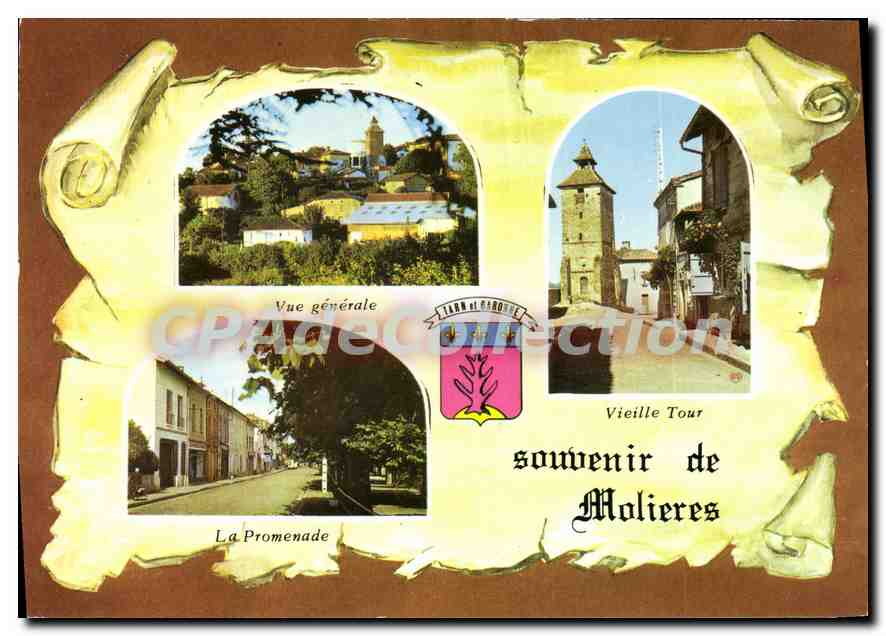 CPSM Tarn-et-Garonne Molieres (Tarn et Gne)