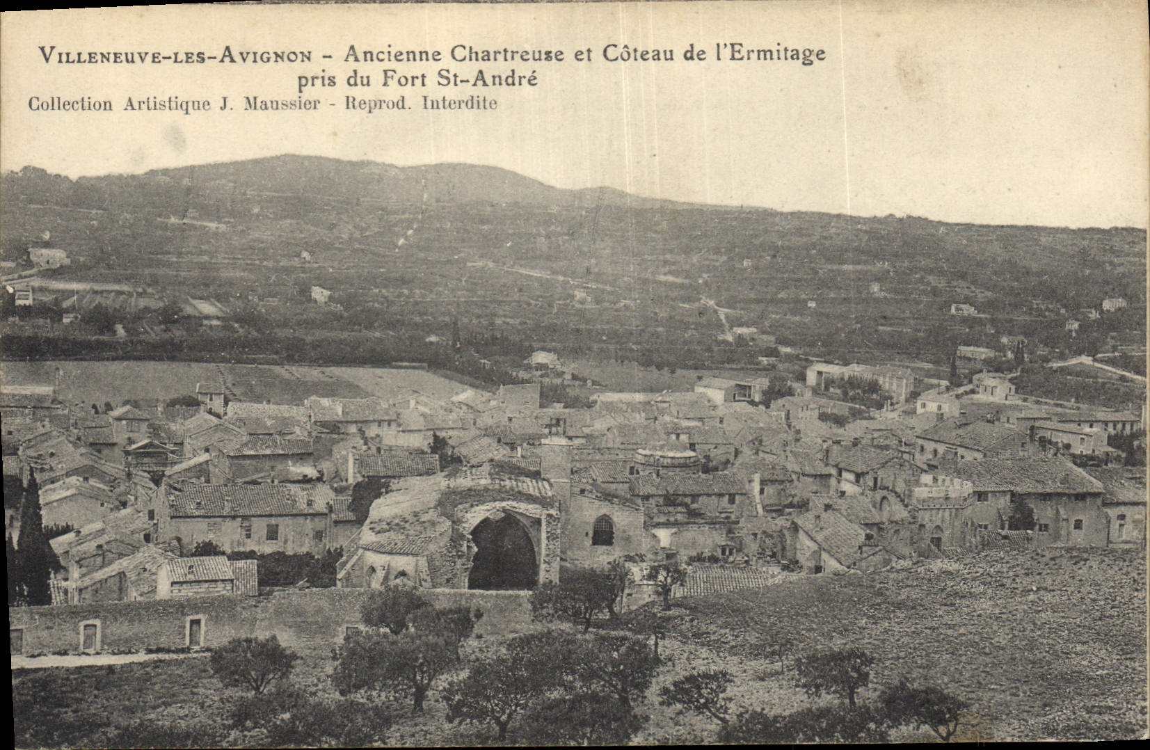 Villeneuve-Les-Avignon - Ancienne Chartreuse et Côteau de l'Ermitage - pris du Fort St-André - Collection Artistique J. Maussier