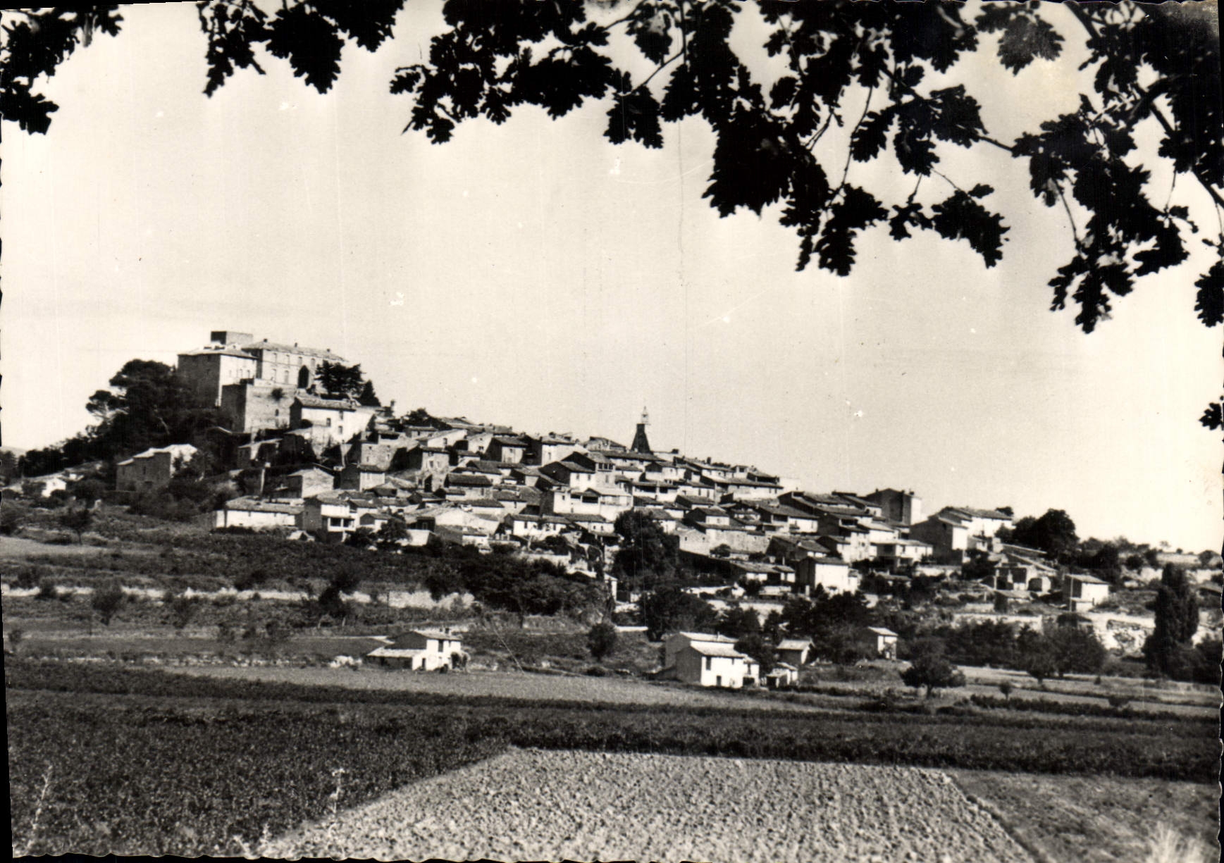Château d'Ansouis — vue panoramique du village sur colline — CPAdeCollection n°84