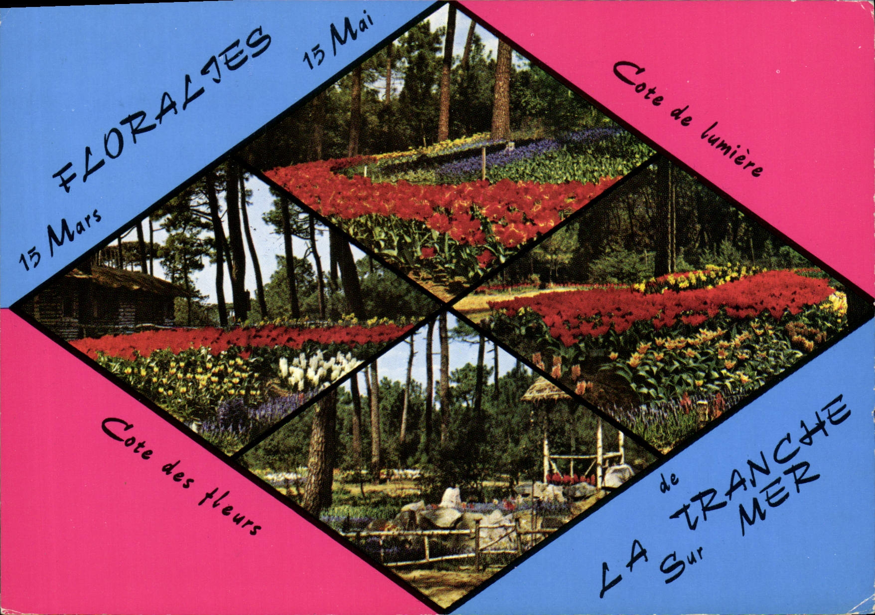 Côte de Lumière — Floralies à La Tranche-sur-Mer — Éditeur Ektacap