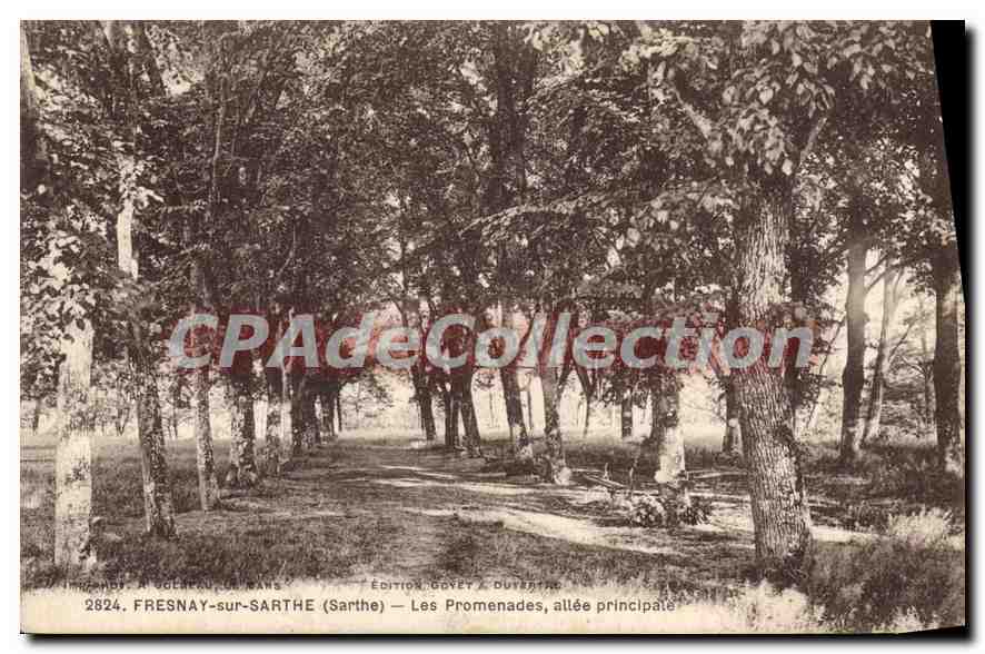 CPA Fresnay sur Sarthe Les Promenades allee principale 