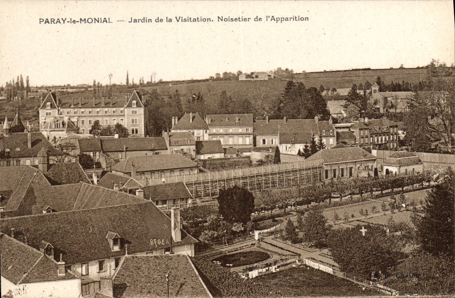 Paray-le-Monial — Jardin de la Visitation. Noisetier de l'Apparition