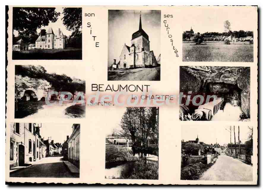 CPSM Beaumont la Chartre Sarthe Vue d'Ensemble 