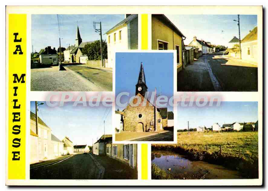 CPSM La Milesse Sarthe l'Eglise le Bourg l'entree du Bourg 