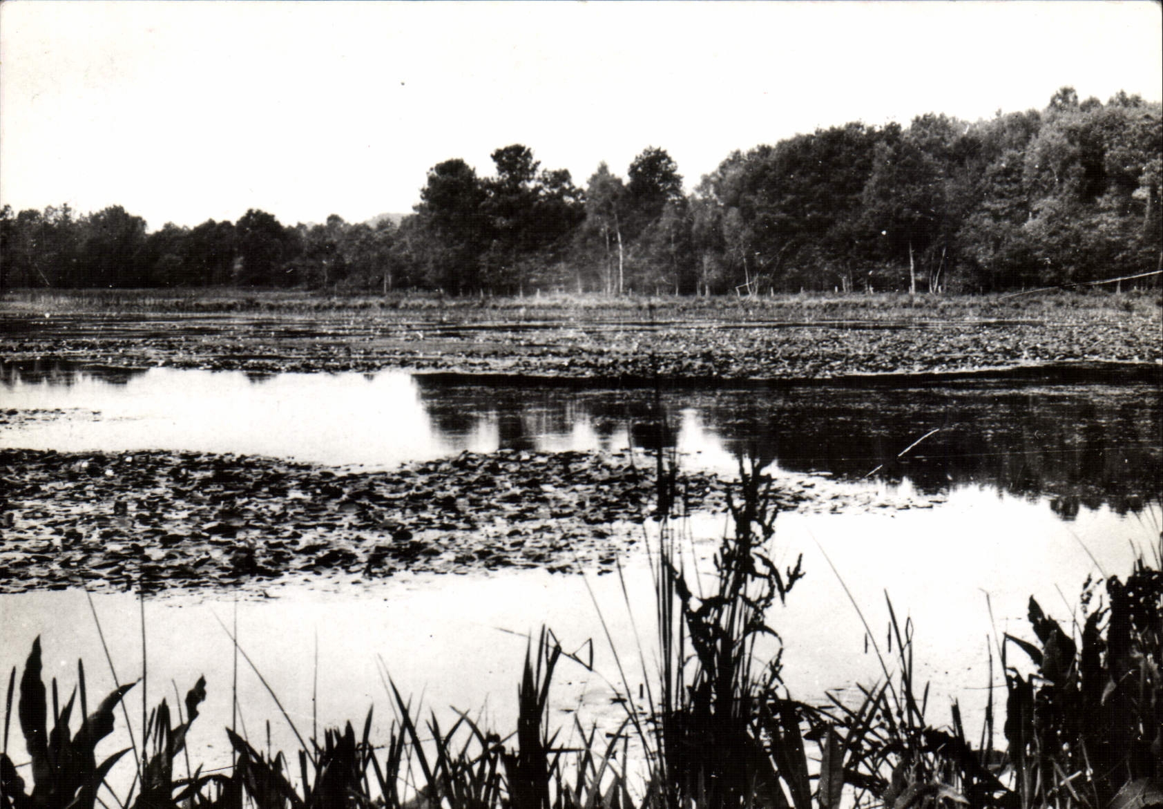 CPSM Ouen en Belin Sarthe Etang de Clairefontaine 