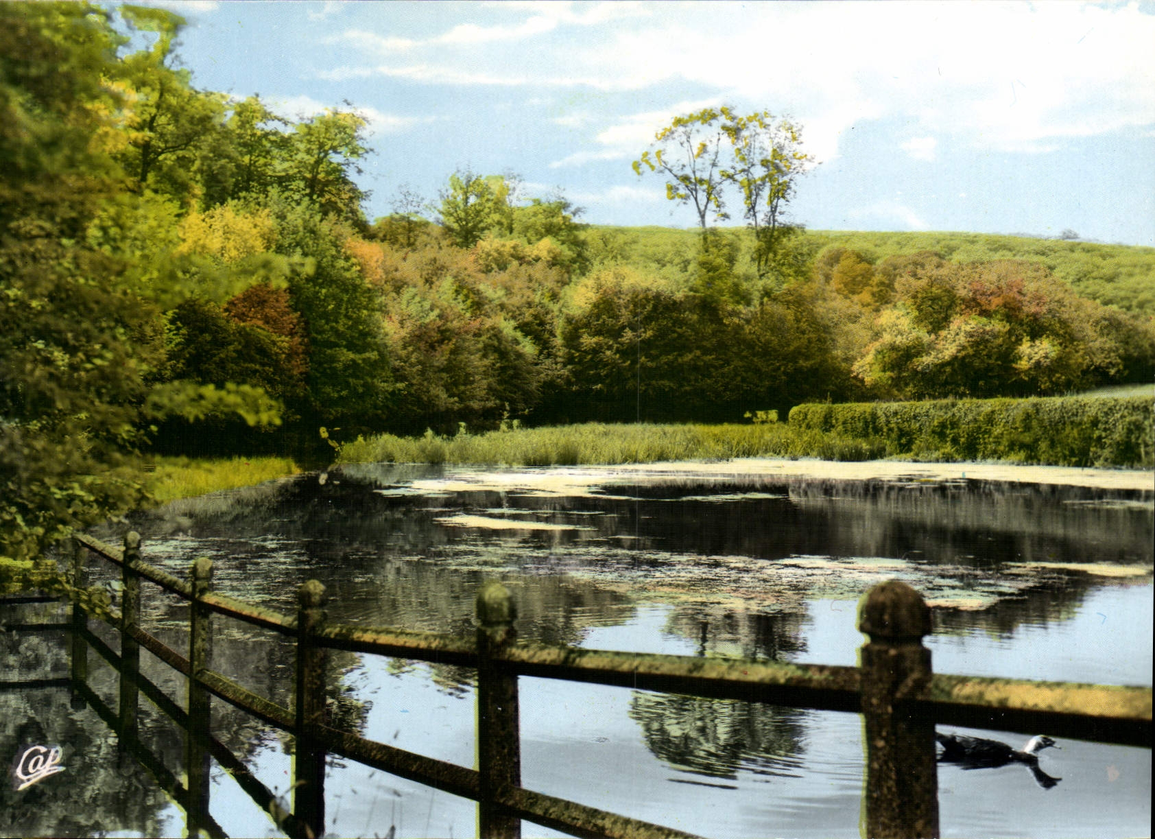 CPSM Mamers l'Etang du chateau de Perseigne 