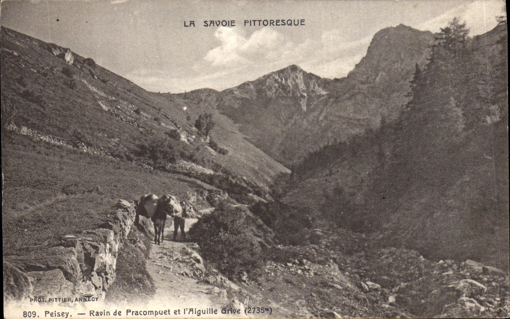 CPA Peisey Raoin de Pracompuet et l'Aiguille Grive 