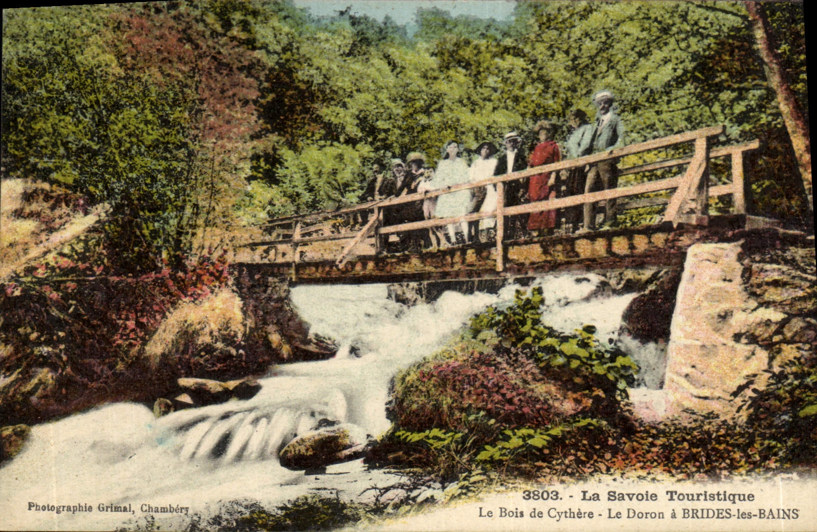 CPA La Savoie Touristique le Bois de Cythere le Doron a Brides les Bains 