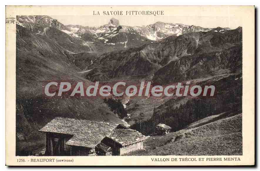 CPA La Savoie Pittoresque Vallon de Trecol et Pierre Menta 