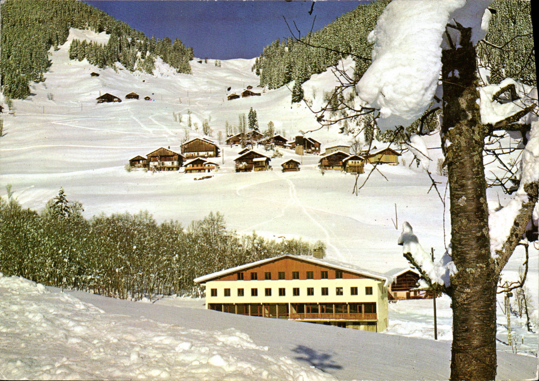 CPSM Areches Savoie village de ladray centre Ambroise Croizat Merlin Gerin 