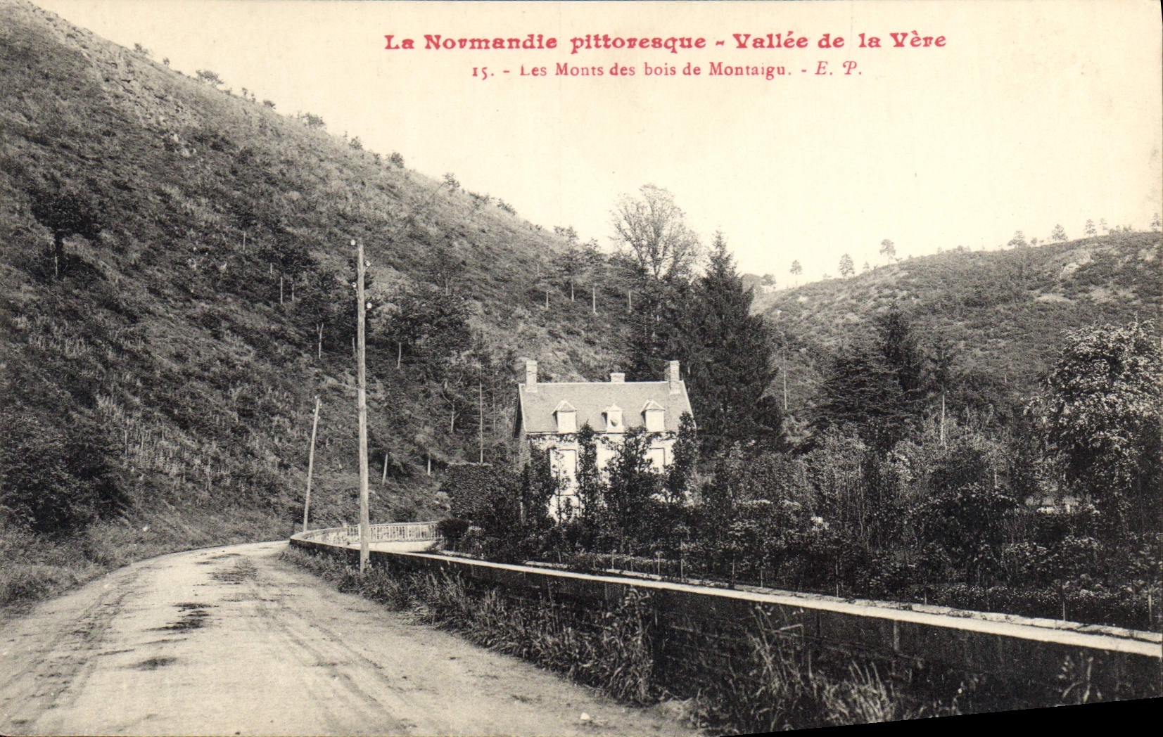 Die Wälder von Montaigu — Tal der Vère — E. P. — n°15