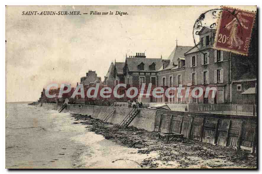 CPA Saint Aubin sur Mer Villas sur la Digue 
