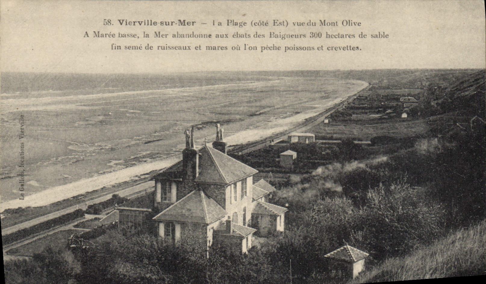 Vierville-sur-Mer — Vue de la plage (côté Est) depuis le Mont Olive — Éditeur Le Gallais, Vierville