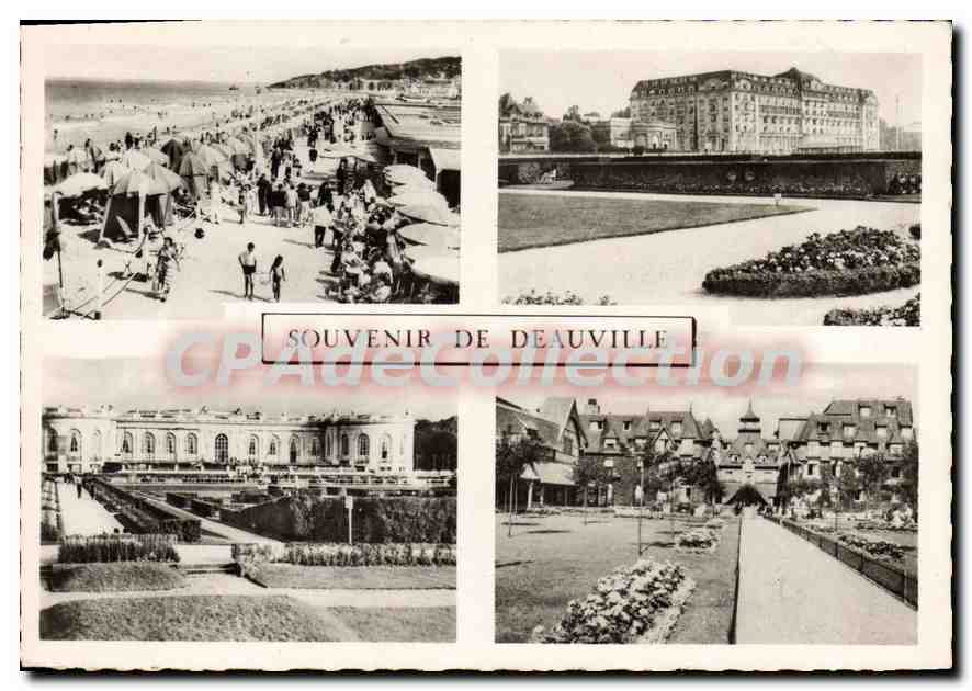 CPSM Deauville 