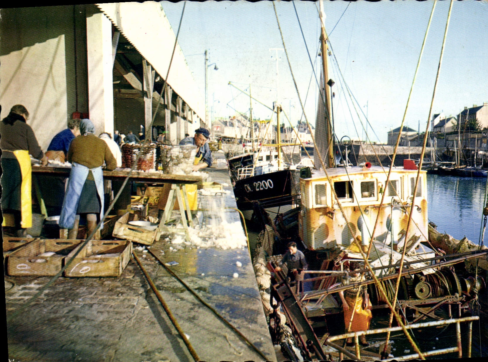 Port-en-Bessin — Tri du poisson — Éditions La Cigogne