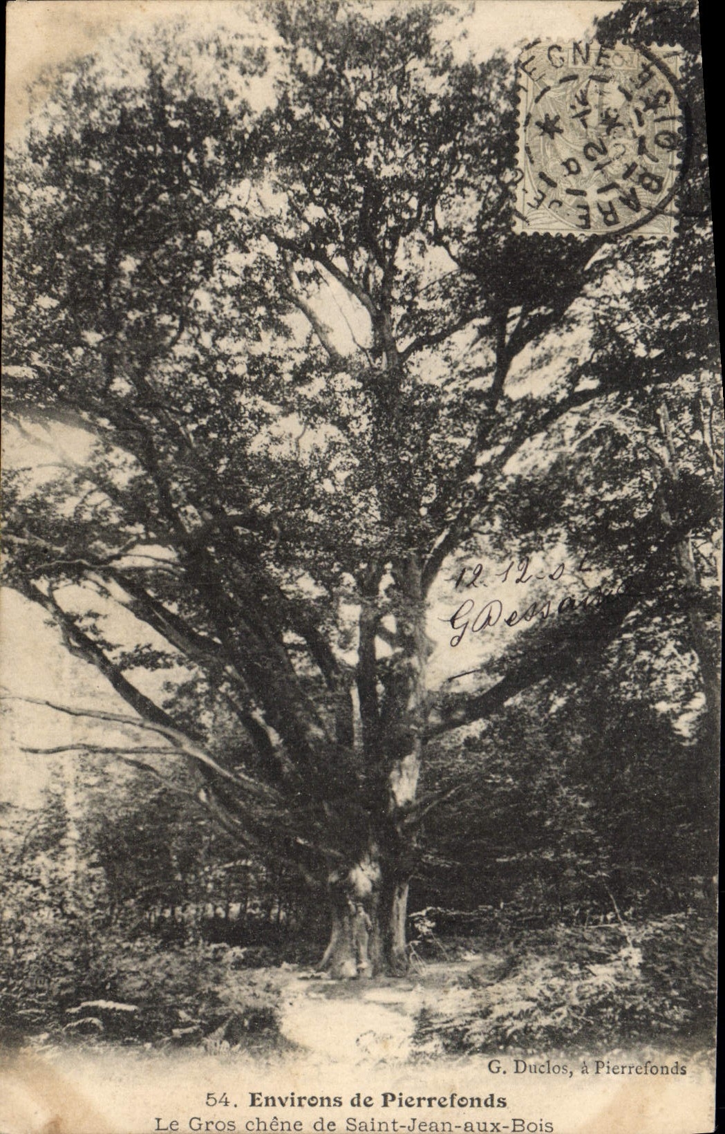 CPA Environs de Pierrefonds Le Gros chene de St Jean aux Bois 