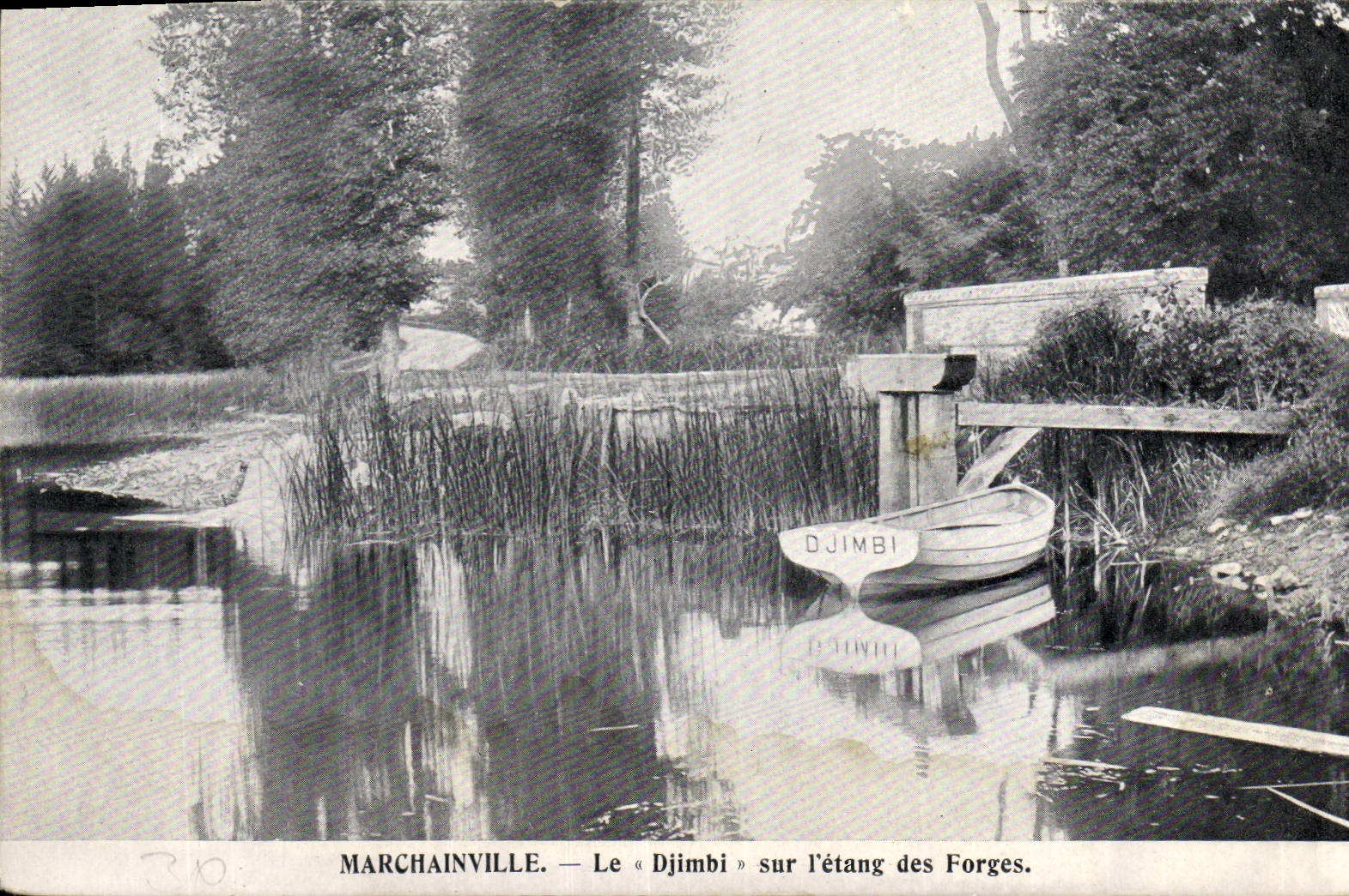 CPA marchainville le Djimbi sur l'etang des Forges 