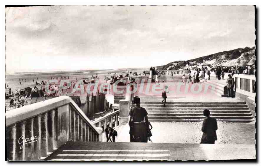 CPA Stella Plage P de C la Digue et la plage 