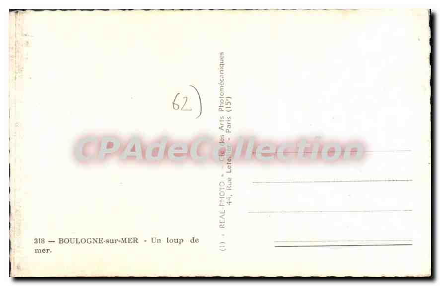 Un Loup de Mer — Boulogne-sur-Mer — LL n°318 — Verso