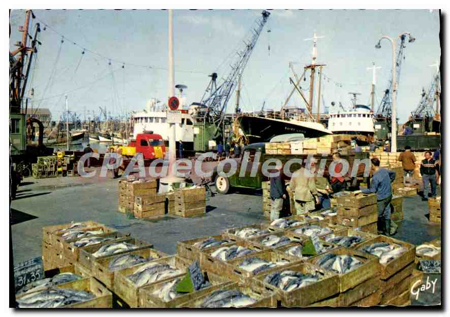 Débarquement du poisson à Boulogne-sur-Mer — Gaby, Éditions Gaby