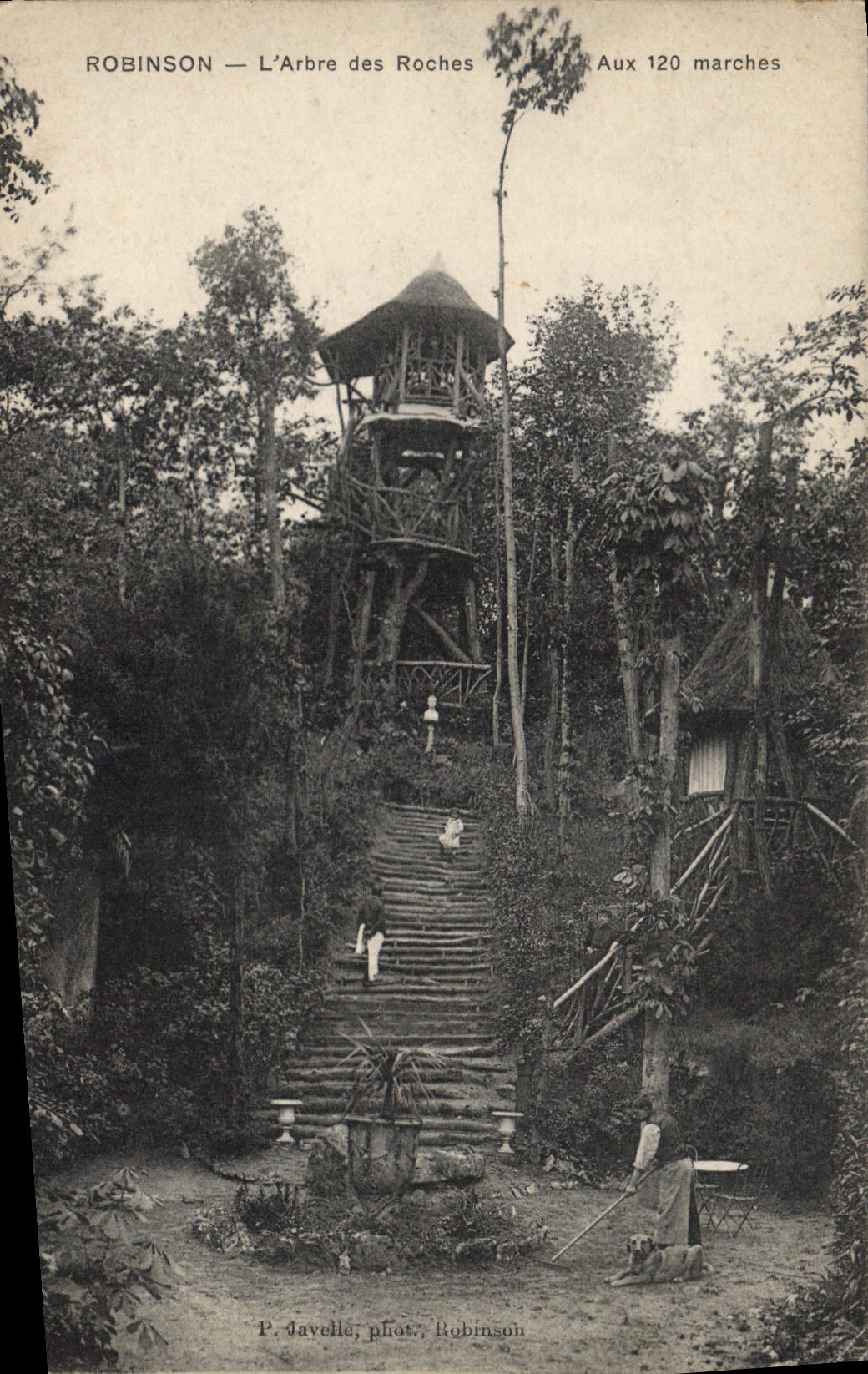 CPA Robinson L'Arbre des Roches