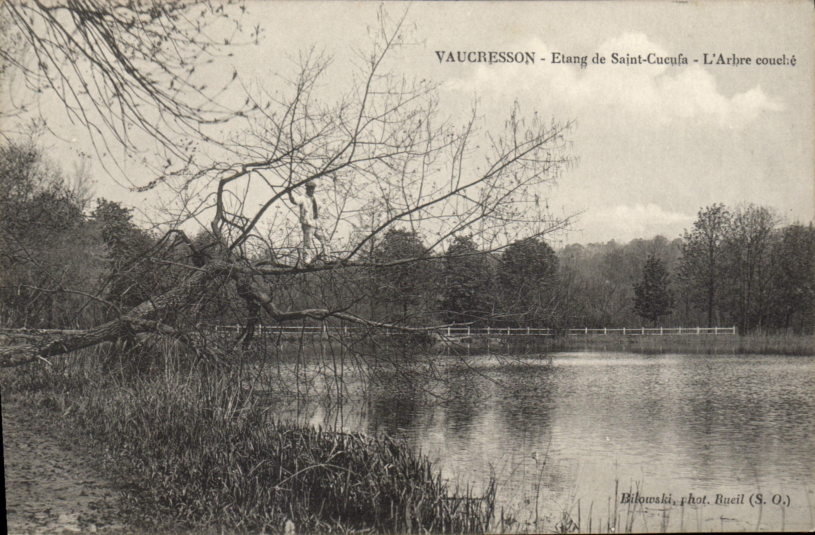 CPA Vaucresson Etang de Saint Cucufa L'Arbre couche