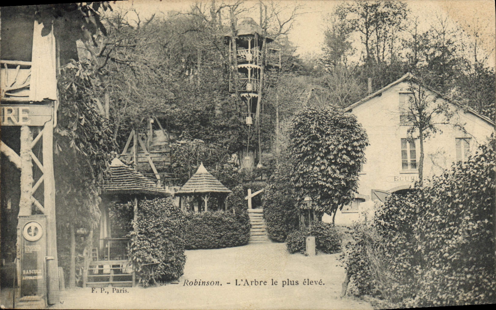 CPA Robinson L'Arbre le plus eleve