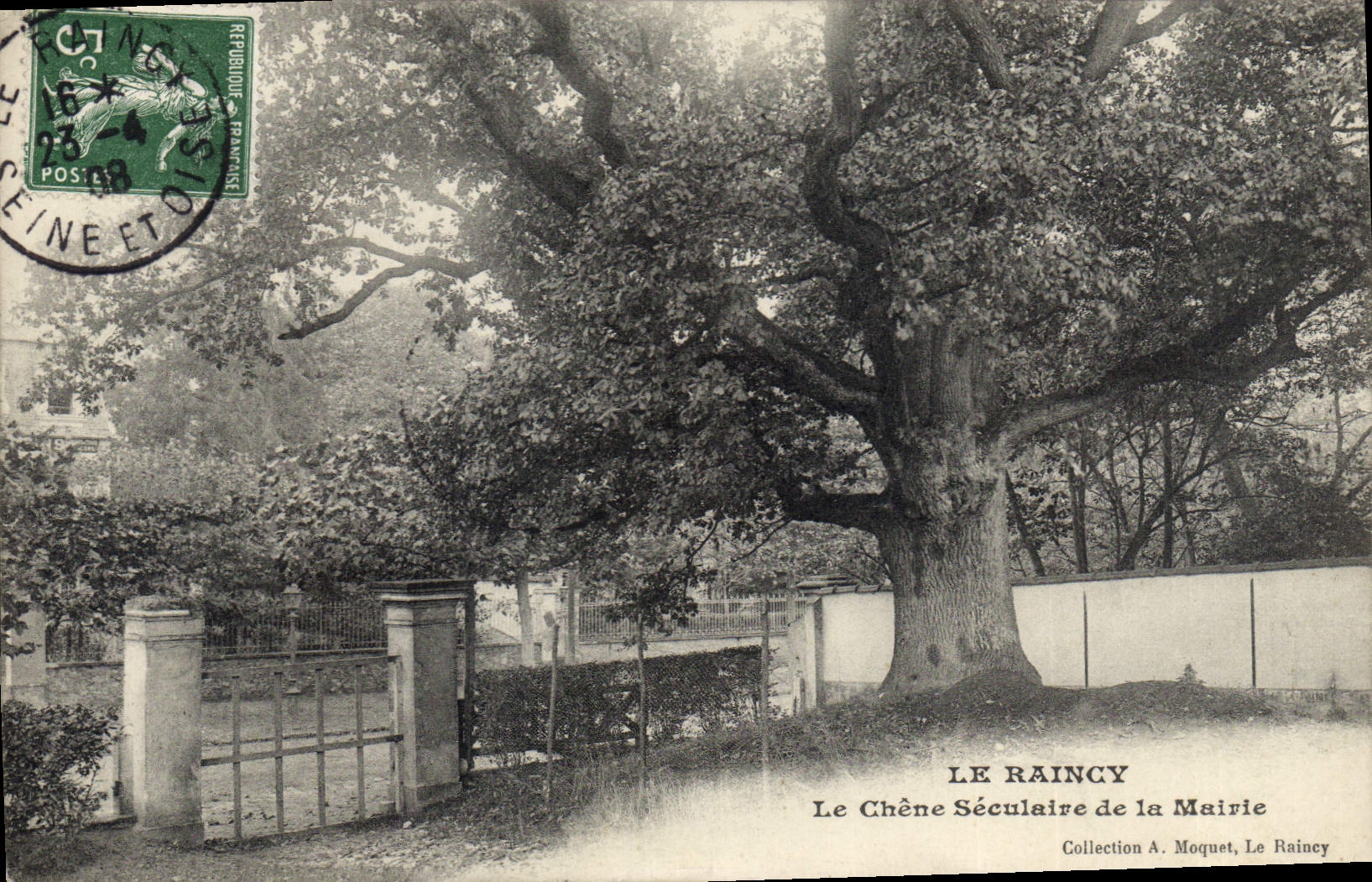 CPA Le Raincy Le Chene Seculaire de la Mairie