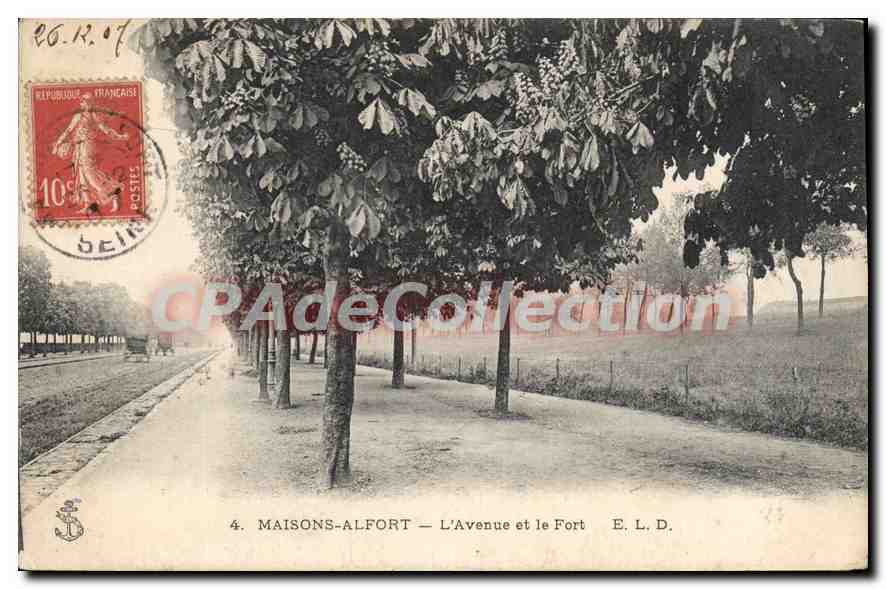 CPA Maison Alfort L'Avenue et le Fort