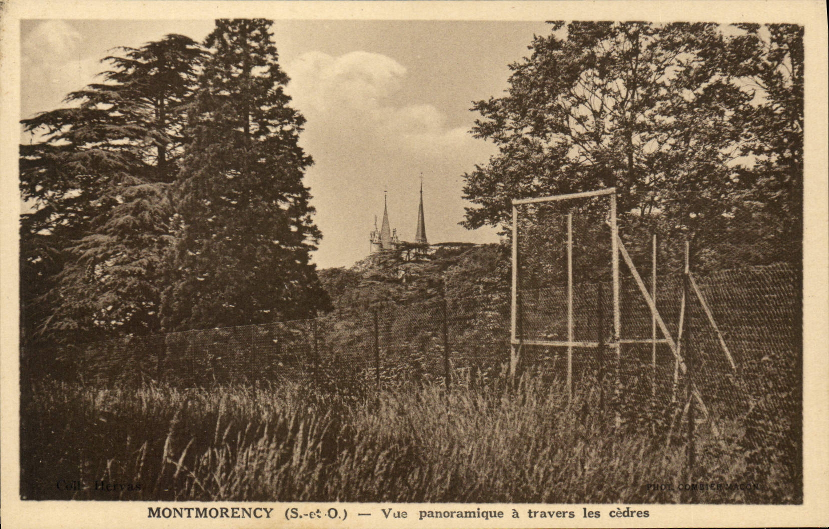 Montmorency (S.-et-O.) — Vue panoramique à travers les cèdres — Photo Combier-Macon