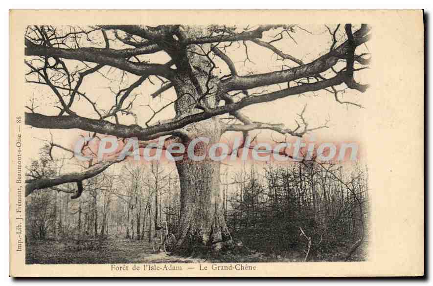 Forêt de l'Isle-Adam — Le Grand-Chêne — Imp. Lib. J. Frémont, Beaumont-sur-Oise — n°88