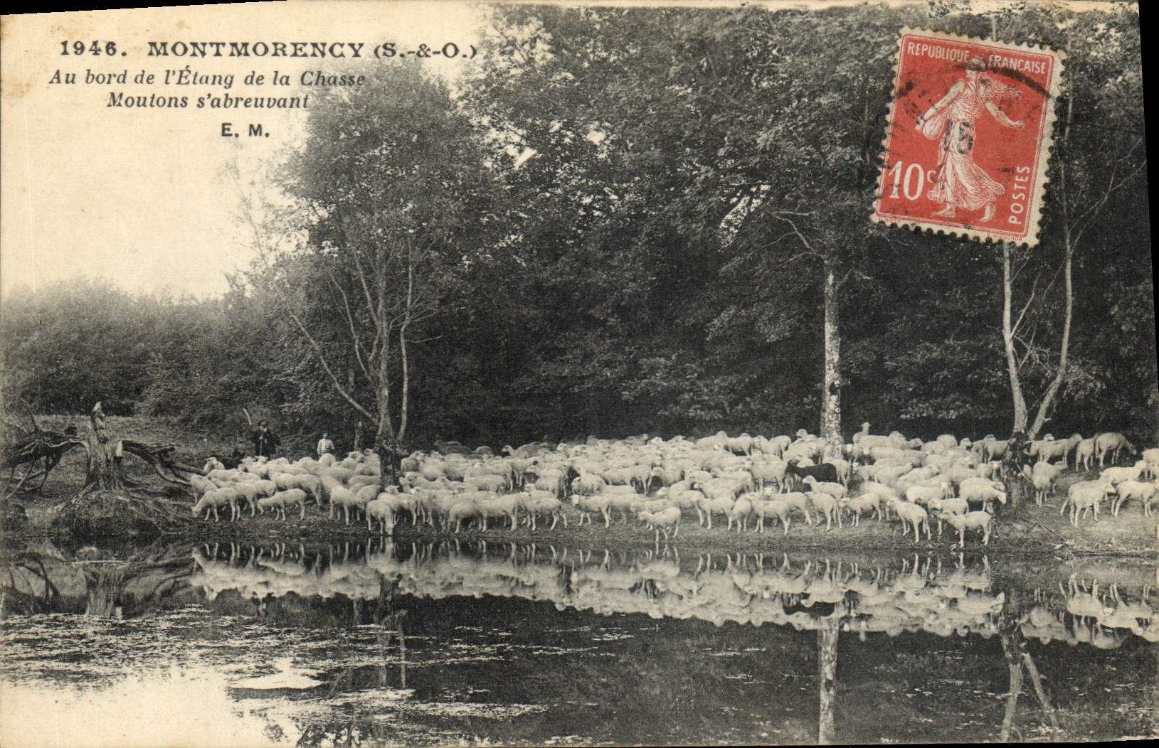 Montmorency (S.&O.) — Moutons s'abreuivant — E. M.
