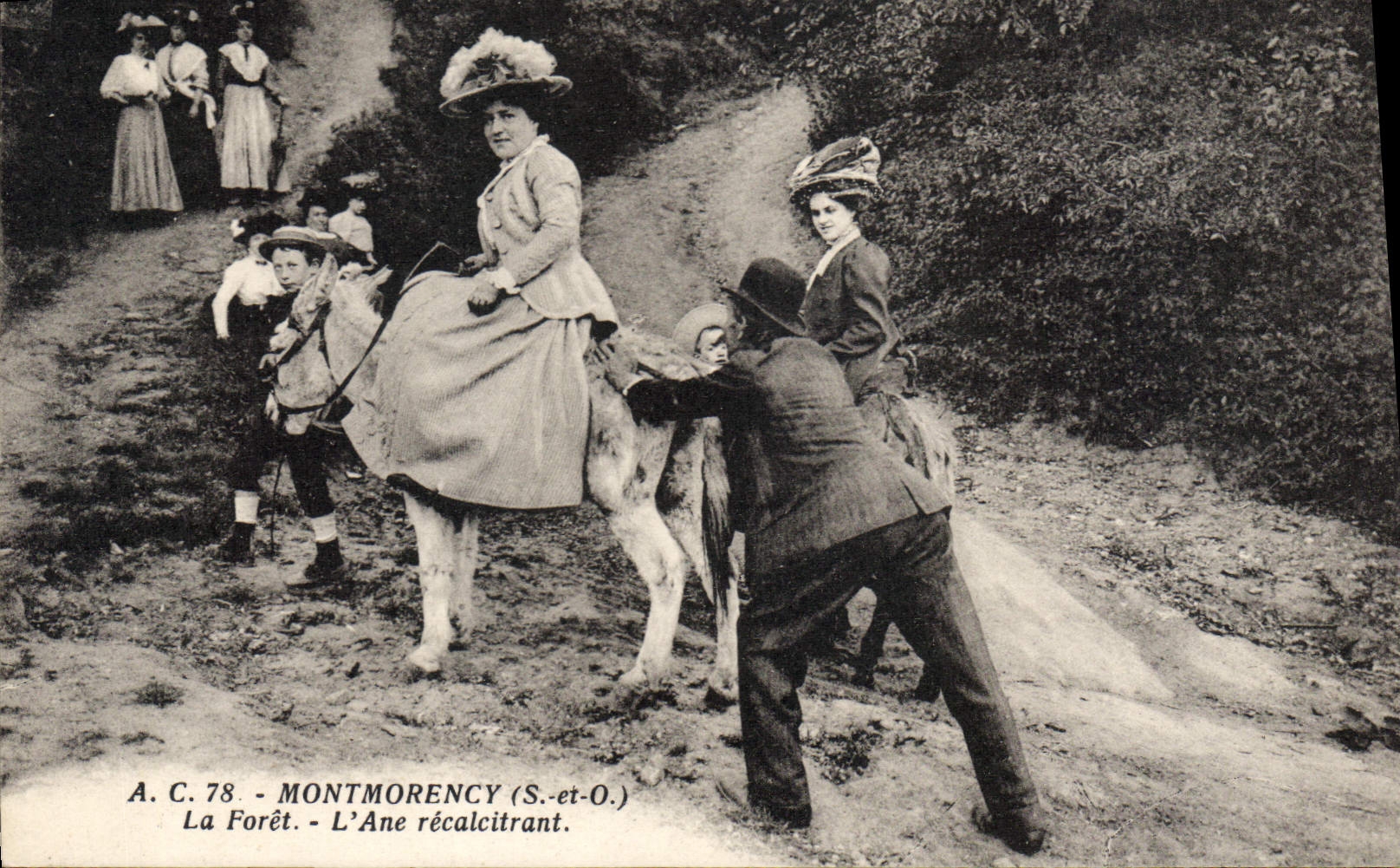 Montmorency (S.-et-O.) - La Forêt - L'âne récalcitrant — A.C. 78