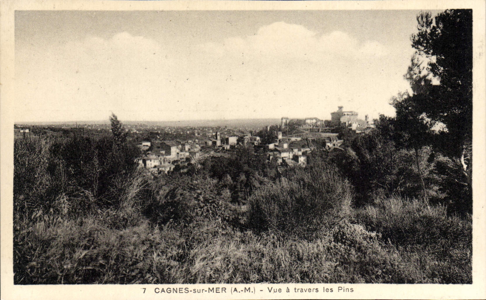 CPA Cagnes sur Mer vue a travers les pins