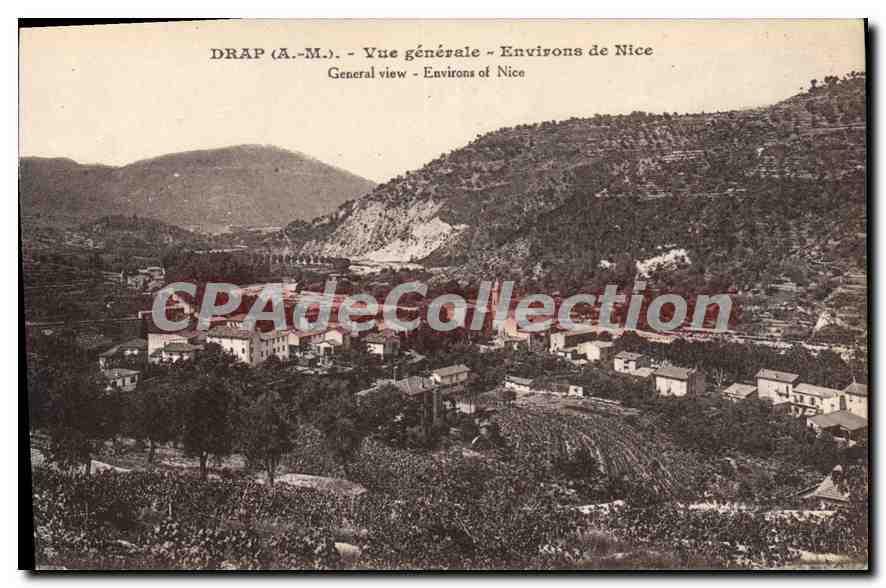 CPA Drap Vue generale Environs de Nice