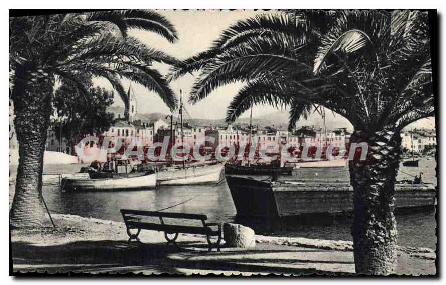 Sanary-sur-Mer — Un coin du port — Édition M. Bandol, n° 266