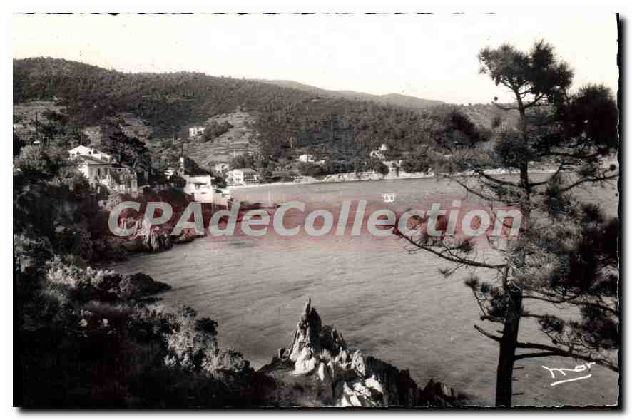 Vue de la Baie d'Aiguebelle — Env. du Lavandou (Var) — Collection Librairie Centrale, Le Lavandou, Nice