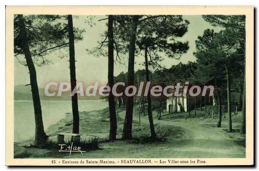 CPA Environs de Sainte Maxime Beauvallon Les Villas sous les Pins 