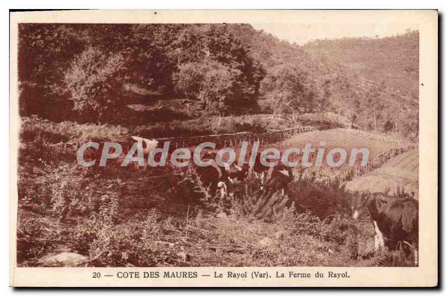 CPA Cote des Maures Le Rayol Var La Ferme du Rayol 
